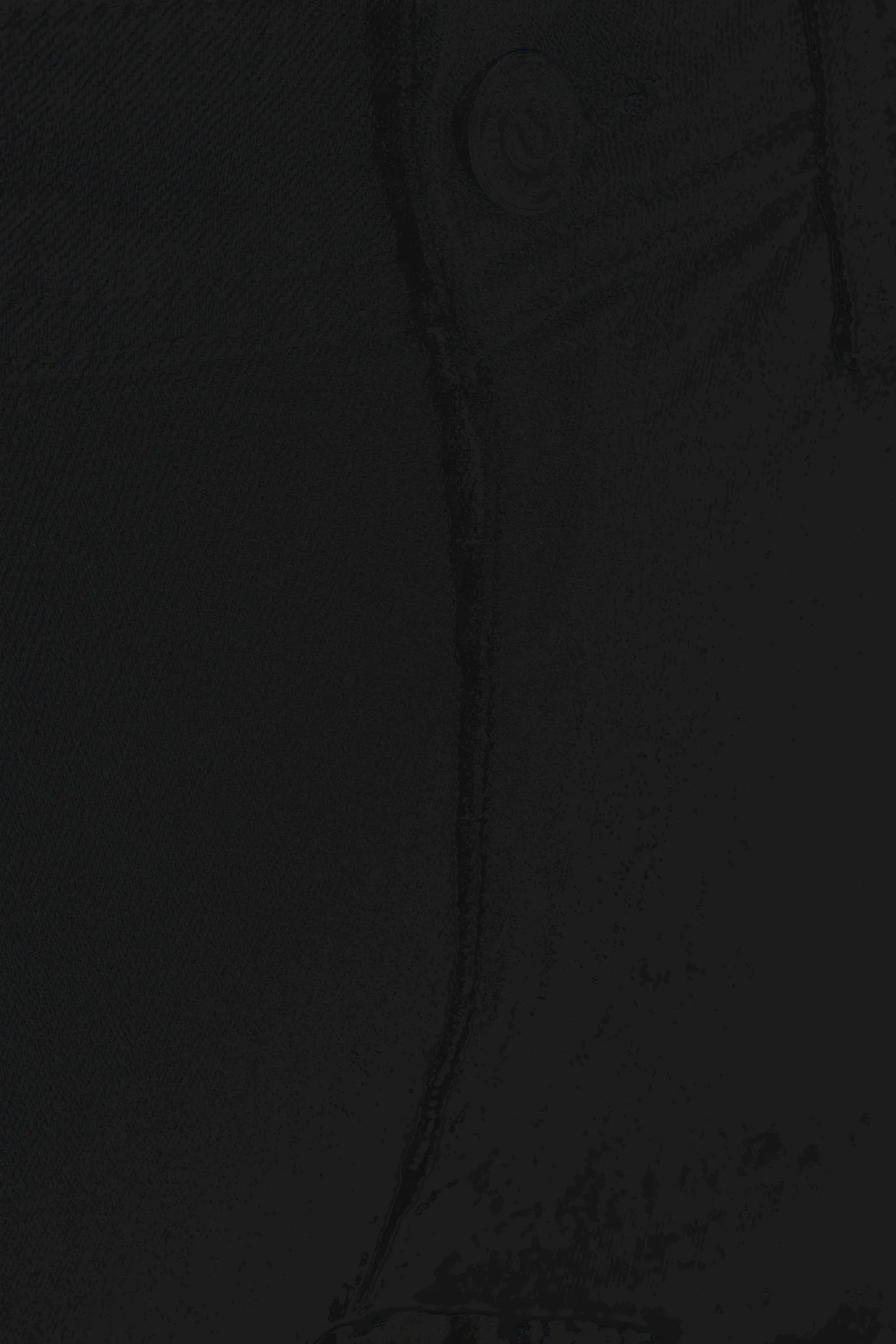 The Original Performance Jeans (Regular) - Black Denim - Image 16